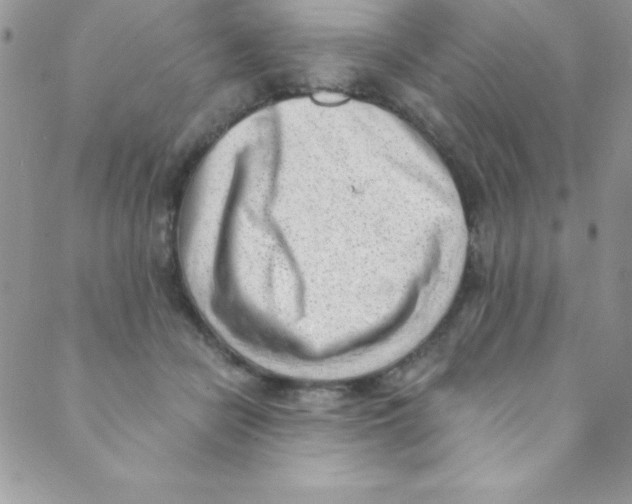 X0000088840462200707051452