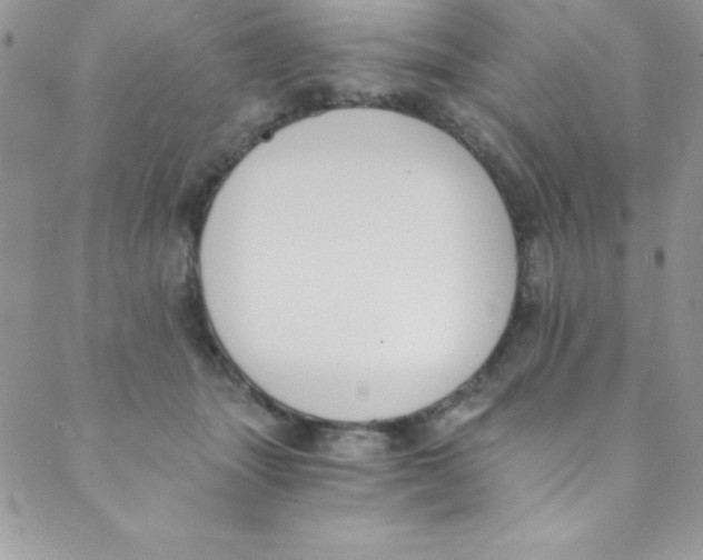 X0000088840463200707051452