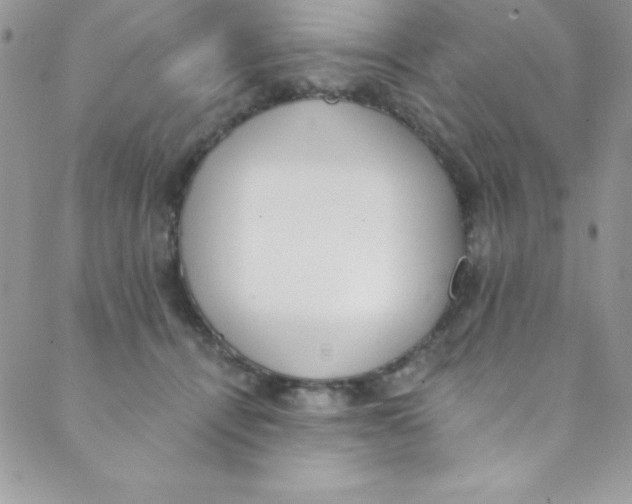 X0000088840464200707051452