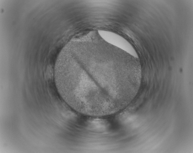 X0000088840467200707051452