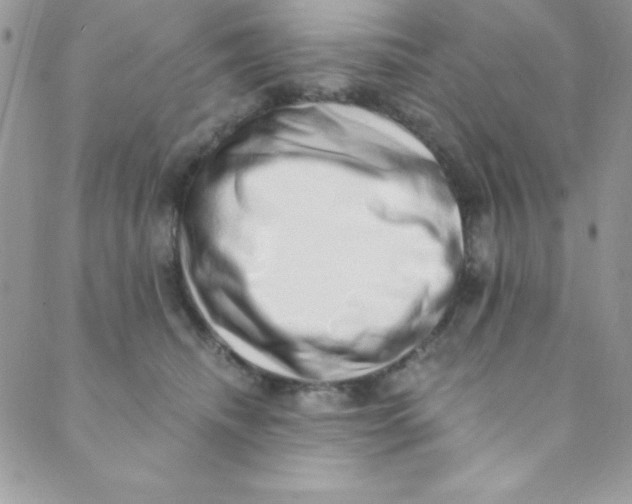 X0000088840468200707051452