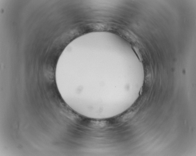 X0000088840469200707051452