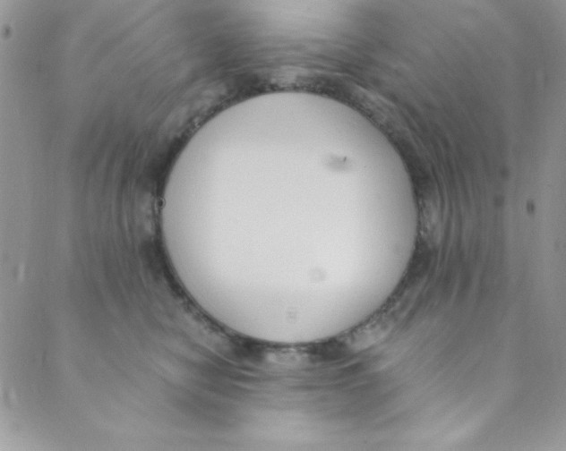 X0000088840470200707051452