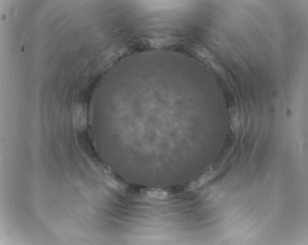 X0000088840471200707051452