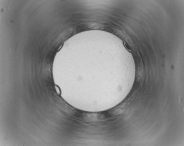 X0000088840473200707051452