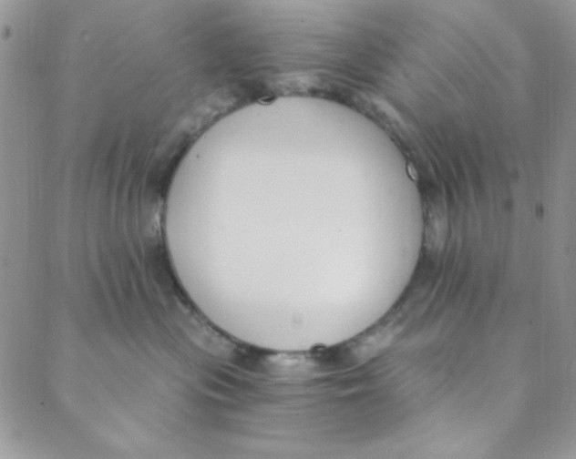 X0000088840477200707051452