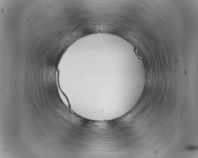 X0000088840478200707051452