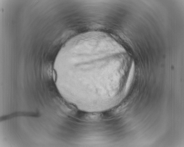 X0000088840479200707051452