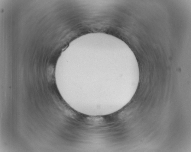 X0000088840480200707051452