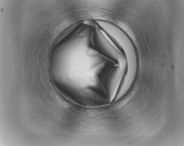 X0000088840481200707051451