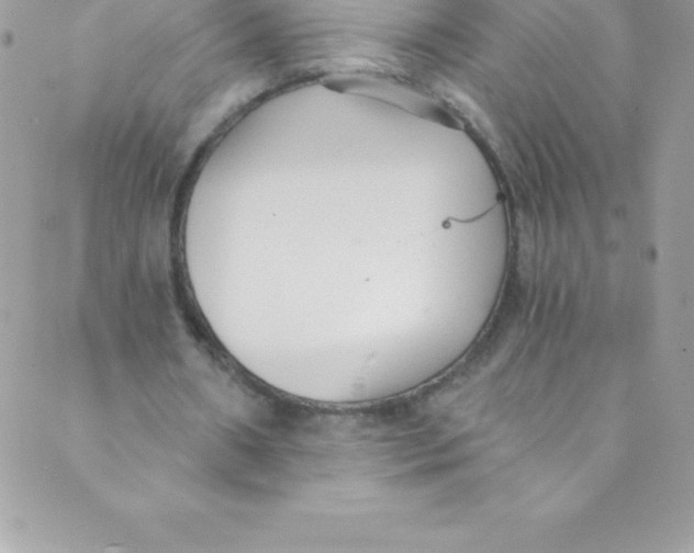 X0000088840482200707051451