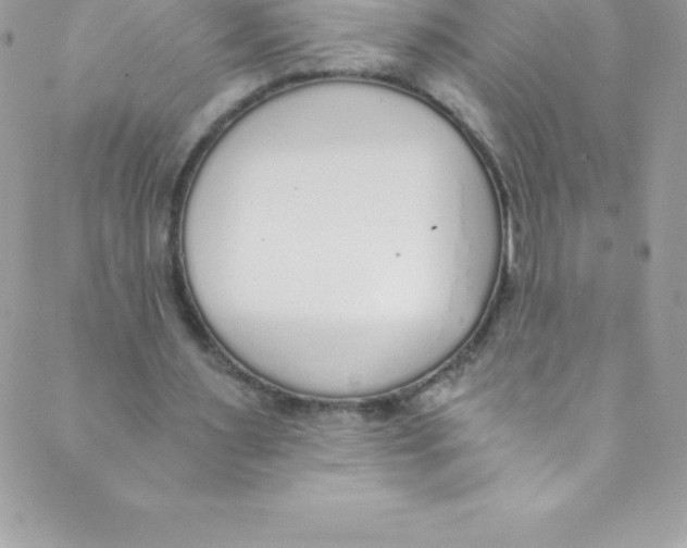 X0000088840483200707051451