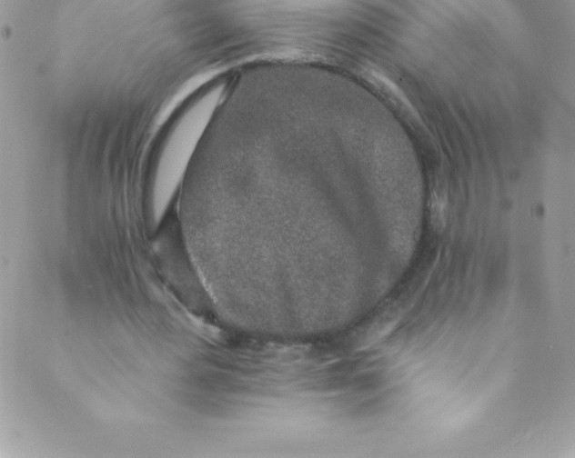 X0000088840484200707051451