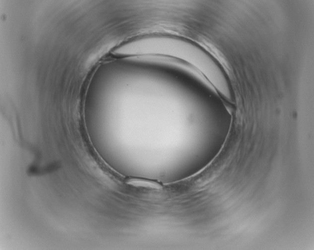 X0000088840485200707051451