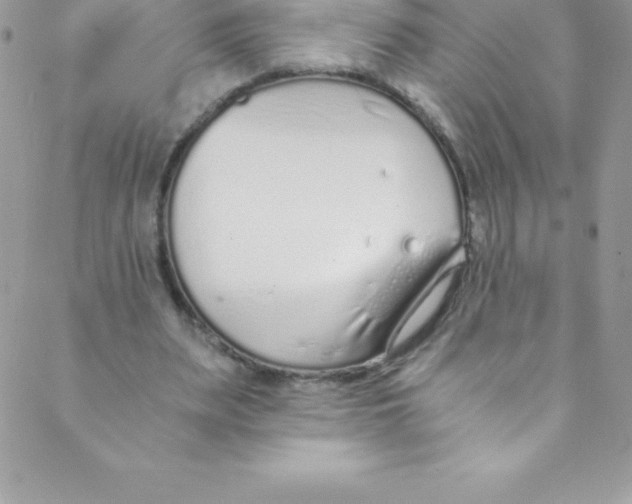 X0000088840487200707051451