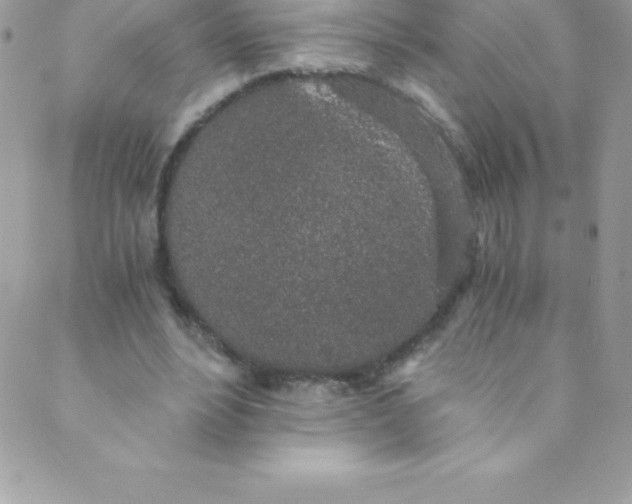 X0000088840488200707051451