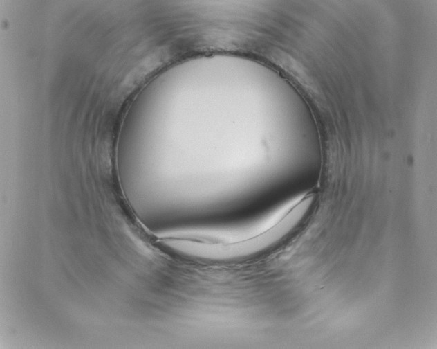 X0000088840489200707051451