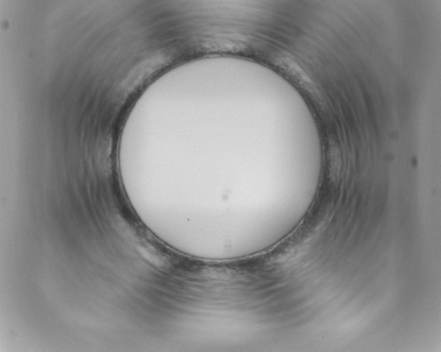 X0000088840490200707051451