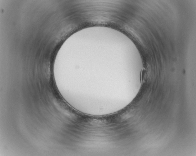 X0000088840494200707051451