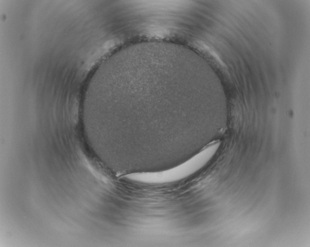 X0000088840496200707051451