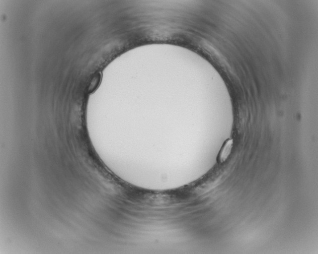 X0000088840497200707051451