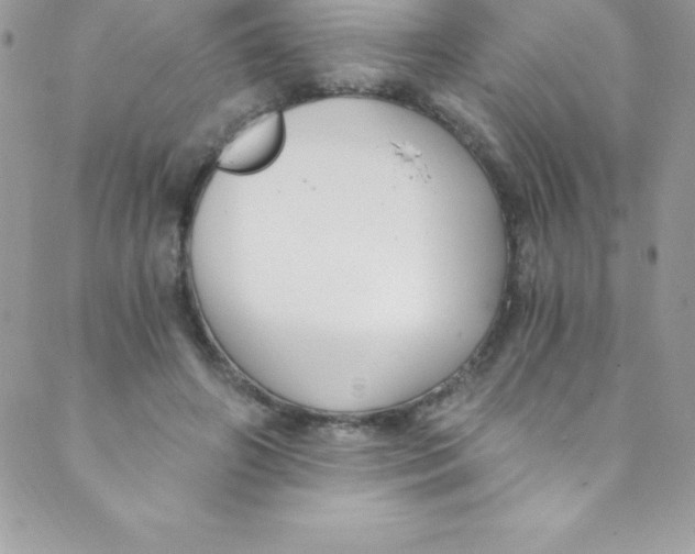 X0000088840498200707051451