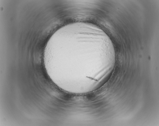 X0000088840499200707051451