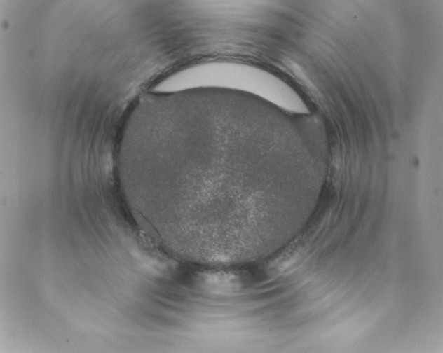 X0000088840500200707051451