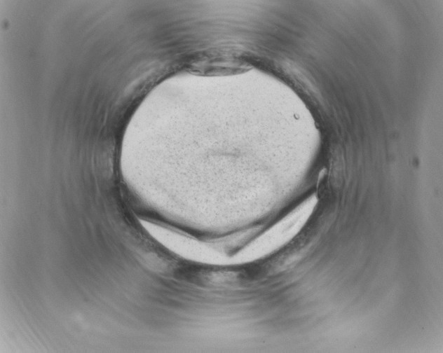 X0000088840501200707051451