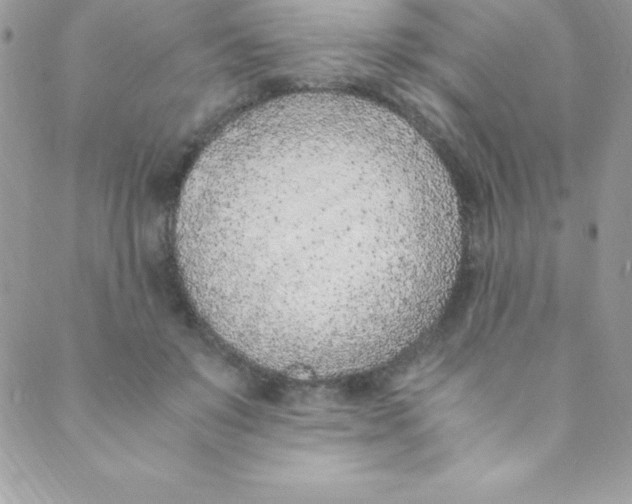 X0000088840503200707051451