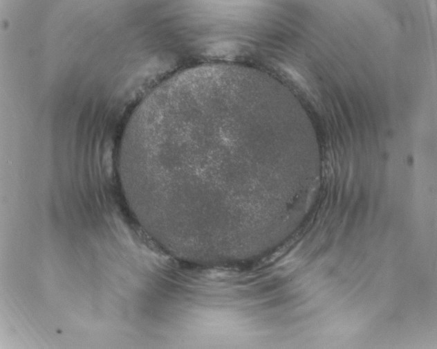 X0000088840504200707051451