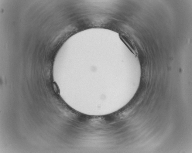 X0000088840505200707051451