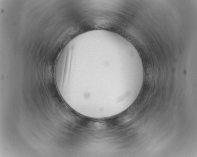 X0000088840506200707051451