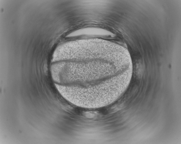 X0000088840508200707051451