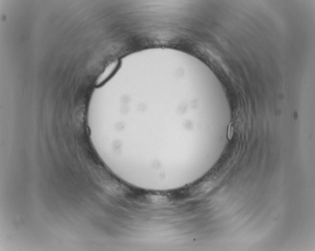 X0000088840509200707051451