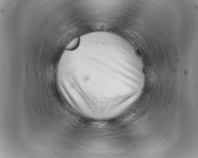 X0000088840511200707051451