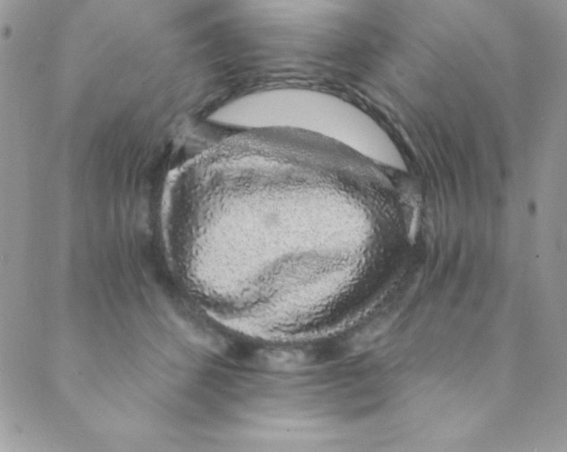 X0000088840512200707051451