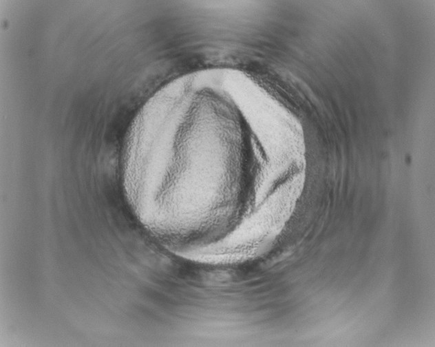 X0000088840513200707051451