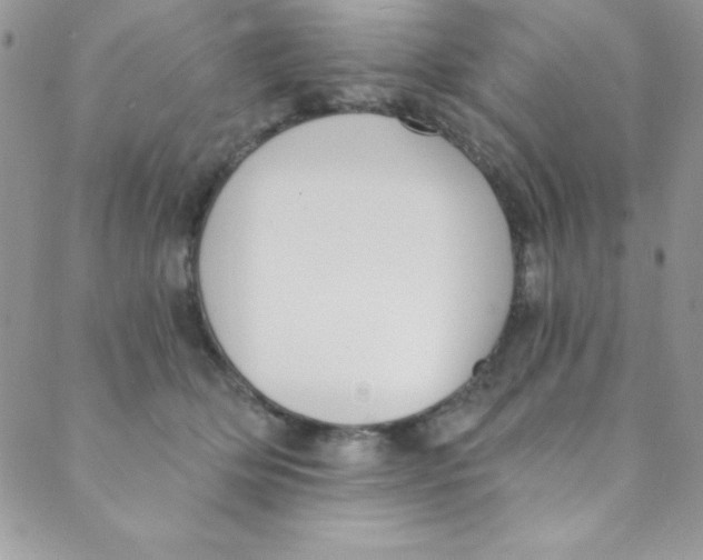 X0000088840514200707051451