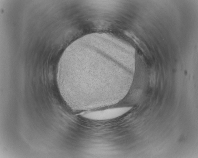 X0000088840516200707051451