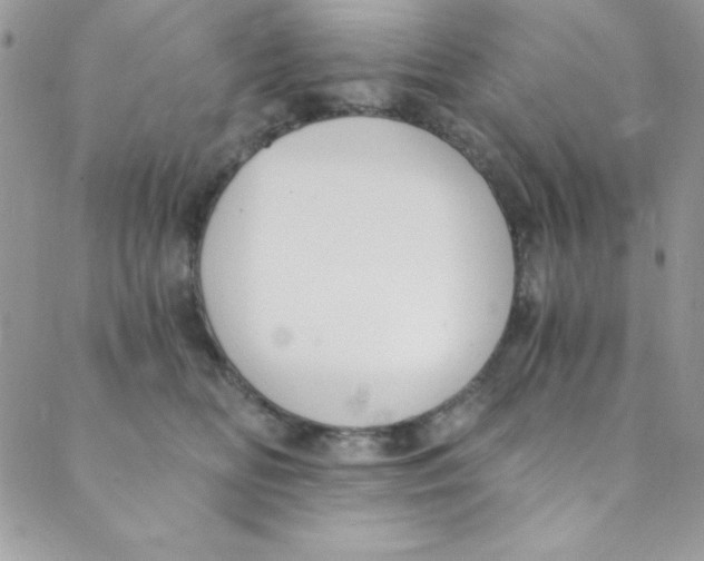 X0000088840518200707051451