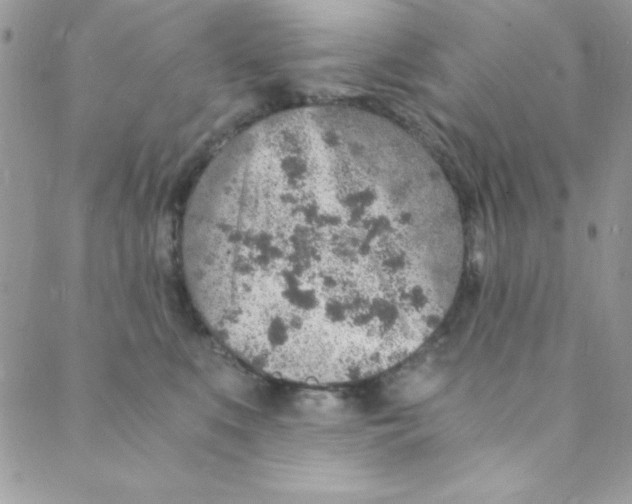 X0000088840519200707051451