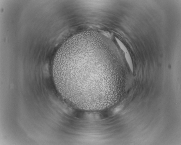 X0000088840520200707051451