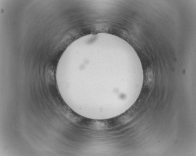 X0000088840522200707051451