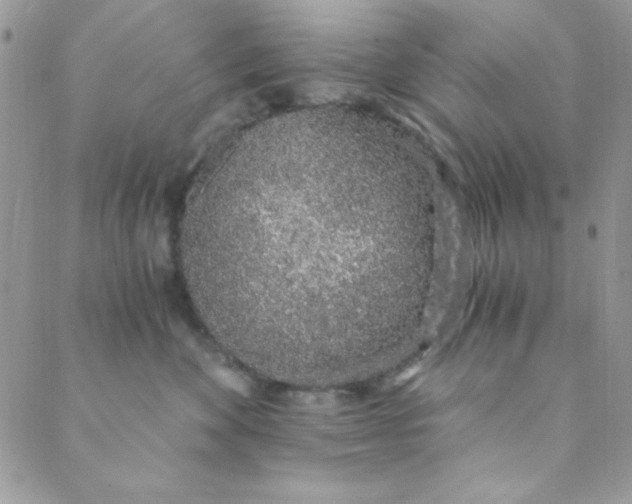 X0000088840524200707051451