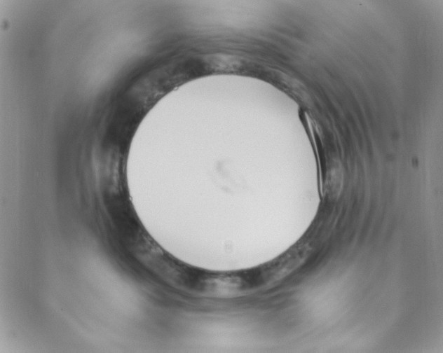 X0000088840525200707051450