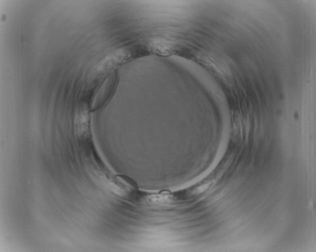 X0000088840526200707051450