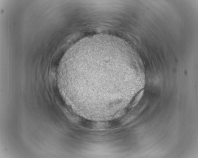 X0000088840527200707051450