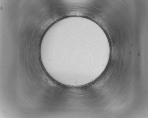 X0000088840529200707051450