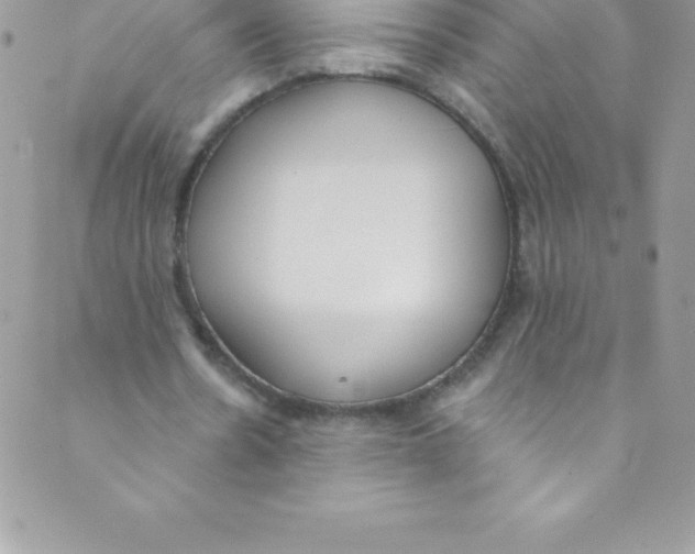 X0000088840530200707051450